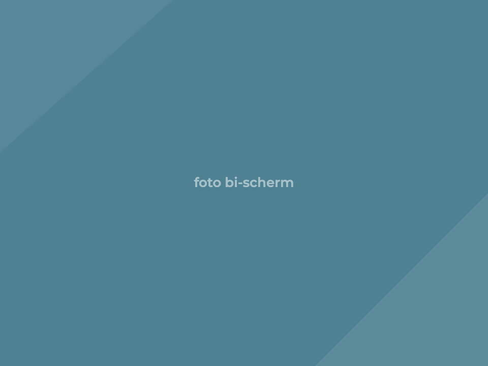 Business intelligence-dashboard met actuele kerncijfers